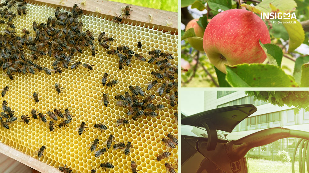 Biodiversität und Nachhaltigkeit Gesamtkonzept bei INSIGMA 2026